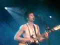 Clip BB Brunes Summer Days
