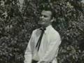 Zvonko Bogdan - Hej salasi