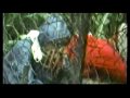 Alive in Jo'Burg - The Original Short Film by Neill Blomkamp