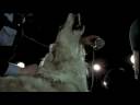 Pink Floyd - Mademoiselle Nobs
