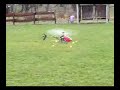 First hovering after 5 days practice.Never flyed before.