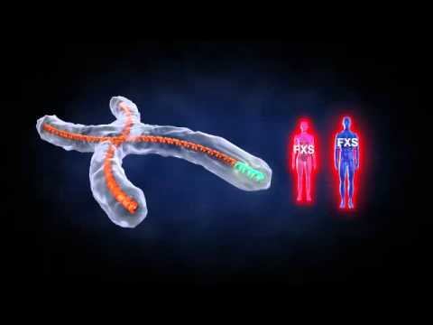 how to test for fragile x syndrome