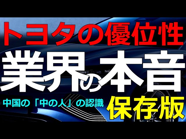 葦原大和が中国EV業界の現実とトヨタ・テスラへの見方を解説