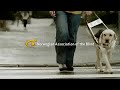 http://www.thelooploop.com

advertiser: norwegian association of the blind
agency: try, oslo
copywriter: oystein halvorsen
art director: karin lund
production company: paradox
director: andreas riiser
producer: gry satre,
beate tangre
post production: hocus focus
editorial company: hocus focus
audio post: fragments