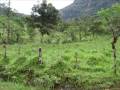 videos de OUTDOORS ADVENTURE SPORTS LIFETIME MEMBERSHIP: HIKING, CAMPING, BIRD WATCHING, RIVER CRUISE