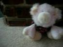 For WEBKINZ123WORLD contest video. For WEBKINZ123WORLD contest video.