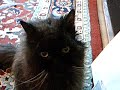 SpookyVideo 6.wmv SpookyVideo 6.wmv