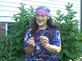 Herbalist Susun Weed shares how using herbal medicine the Wise Woman Way helps us save money in uncertain economic times. Nourishing herbal infusions give us all the minerals we need for less than 30 dollars a month. Herbal medicine is easy to make and costs much less than other medicines....