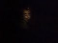 RECENTLY FOUND FOOTAGE