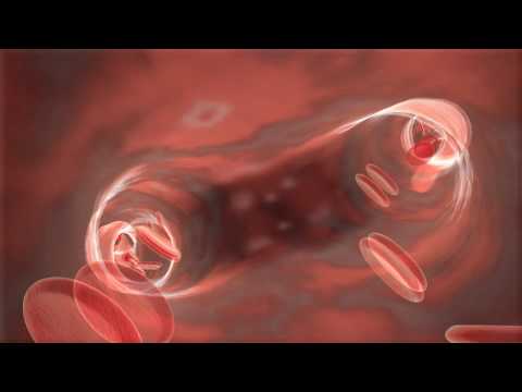 Animación biomédica