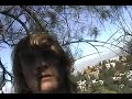 California (Laurel Canyon)
