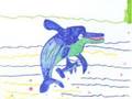 Visual Literacy Project