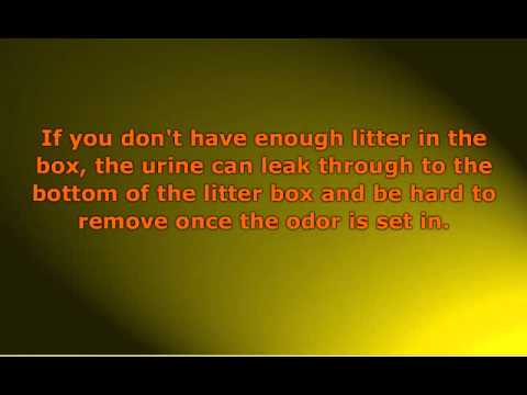 how to control odor from litter box
