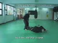 Aikido vs. Arma (gun)