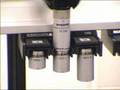 Renishaw SP25