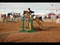 Scottsdale Arabian Horse Show 2008 - Dressage, Show Jumping, Sporthorse