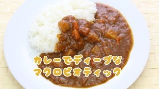 マクロビオティックと薬膳の陰陽の違いを説明するWSの動画