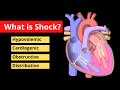 What is Shock?