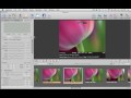 Aperture 3 tutorial - MacCreate.com Aperture 3 Complete Tutorial Video Series