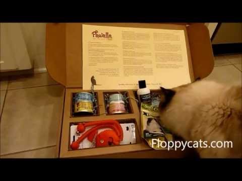 Pawalla Cat Gift Box Review 0 Pawalla Cat Gift Box Review