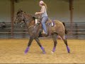 Chow - Amazing trail horse Chow - Amazing trail horse