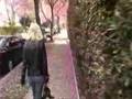  - MovieZen Video
