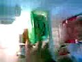 asalto al refri de la punti