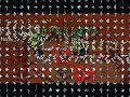 Johnny Dukesest Life - Tibia Lucera