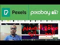 pixabay and pexels مواقع مجانيه مهمه فى مجالات التصميم ومونتاج الفيديو