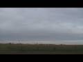 Last Flight of Season Sopwith Pup 1/3 scale giant model DEAD STICK LANDING!