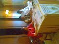 Kamini Lamba Rotary Speech