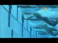 cavic or phelps wall touch **best view hd**