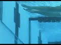 cavic or phelps wall touch **best view hd**