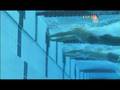 Cavic Or Phelps Wall Touch **Best View HD**