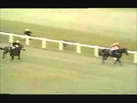 grand national grand national