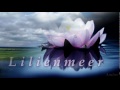 Video screenshot