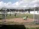 L�o cobra penalti no travess�o