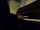 Zero Point - Tori Amos