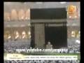 AJAIB ! - KUCING MENYENTUH KA'BAH