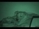 Rudy 11-30-08.wmv