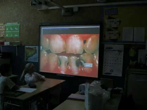 Imatge de previsualització de YouTube