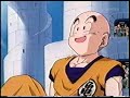 Picollo vs. Krillin