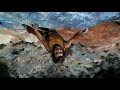 Chris Sharma on 
