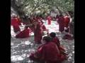 Monk Debate At Sera Monestery In Lhasa