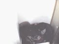 Secret Pakistani Islamabad Net Cafe Sex Scandal Hidden Camera
