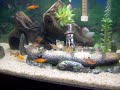 aquario de 200 litros 
