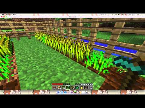 how to harvest crops in minecraft