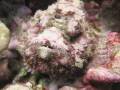 videos de November 08 Highlights
