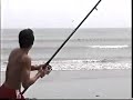 Pêche d'une raie guitare de 35kg