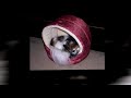 Samson & Zeus- Animoto mix